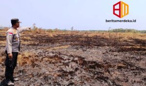 Hamparan lahan yang terbakar di Kecamatan Enggano